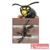 Bienenbeisser Fugenlüfter Stoßfugenlüfter rostfrei Farbig 70 mm